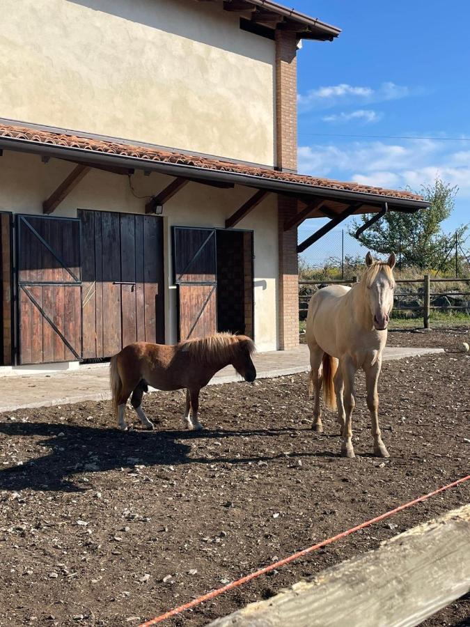 Agriturismo Cergallina Vernasca Kültér fotó