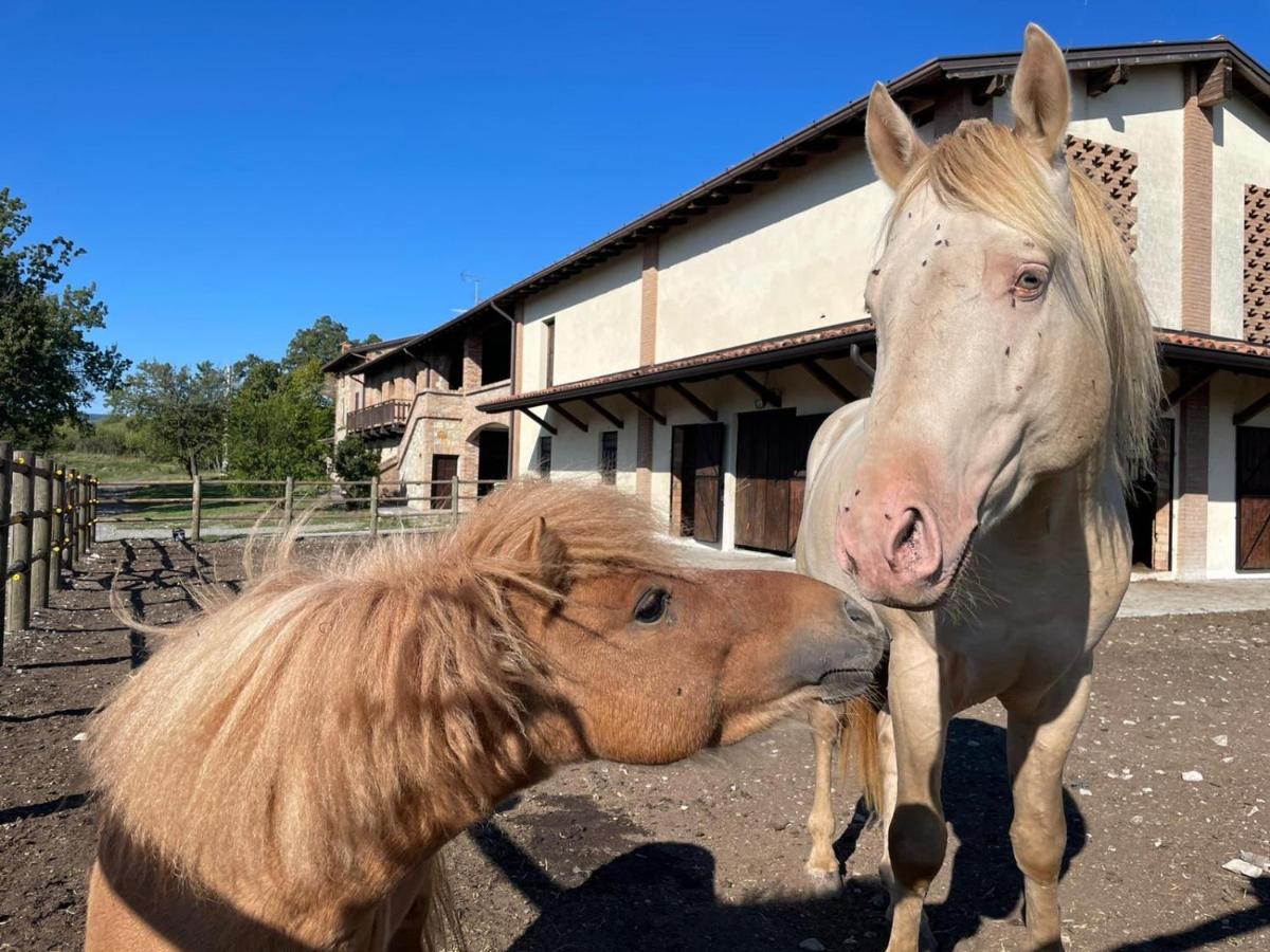 Agriturismo Cergallina Vernasca Kültér fotó