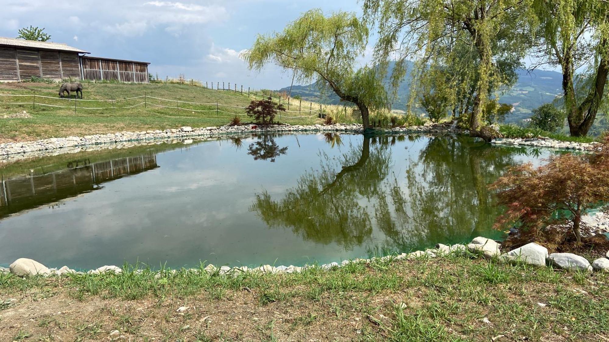 Agriturismo Cergallina Vernasca Kültér fotó