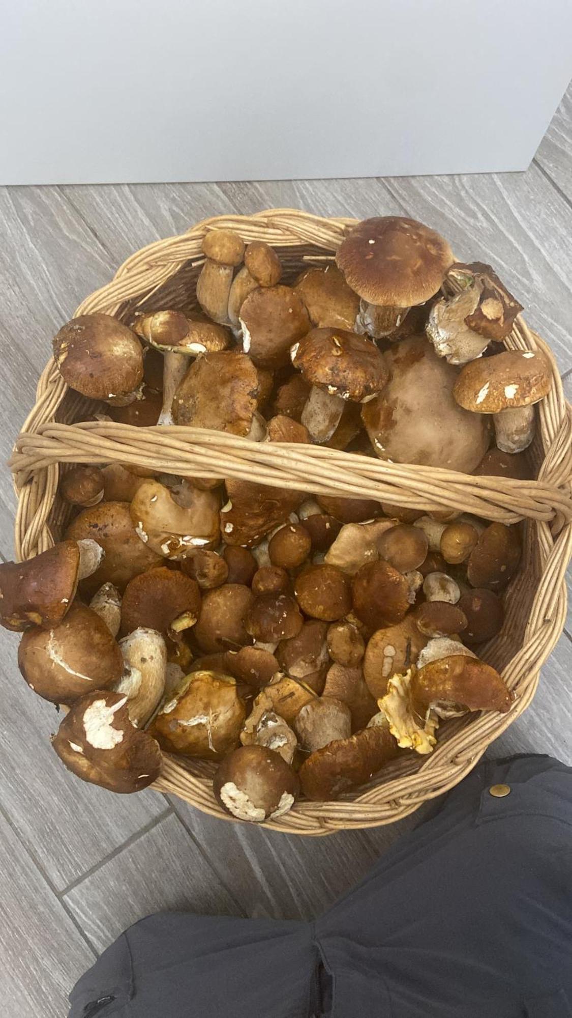 Agriturismo Cergallina Vernasca Kültér fotó