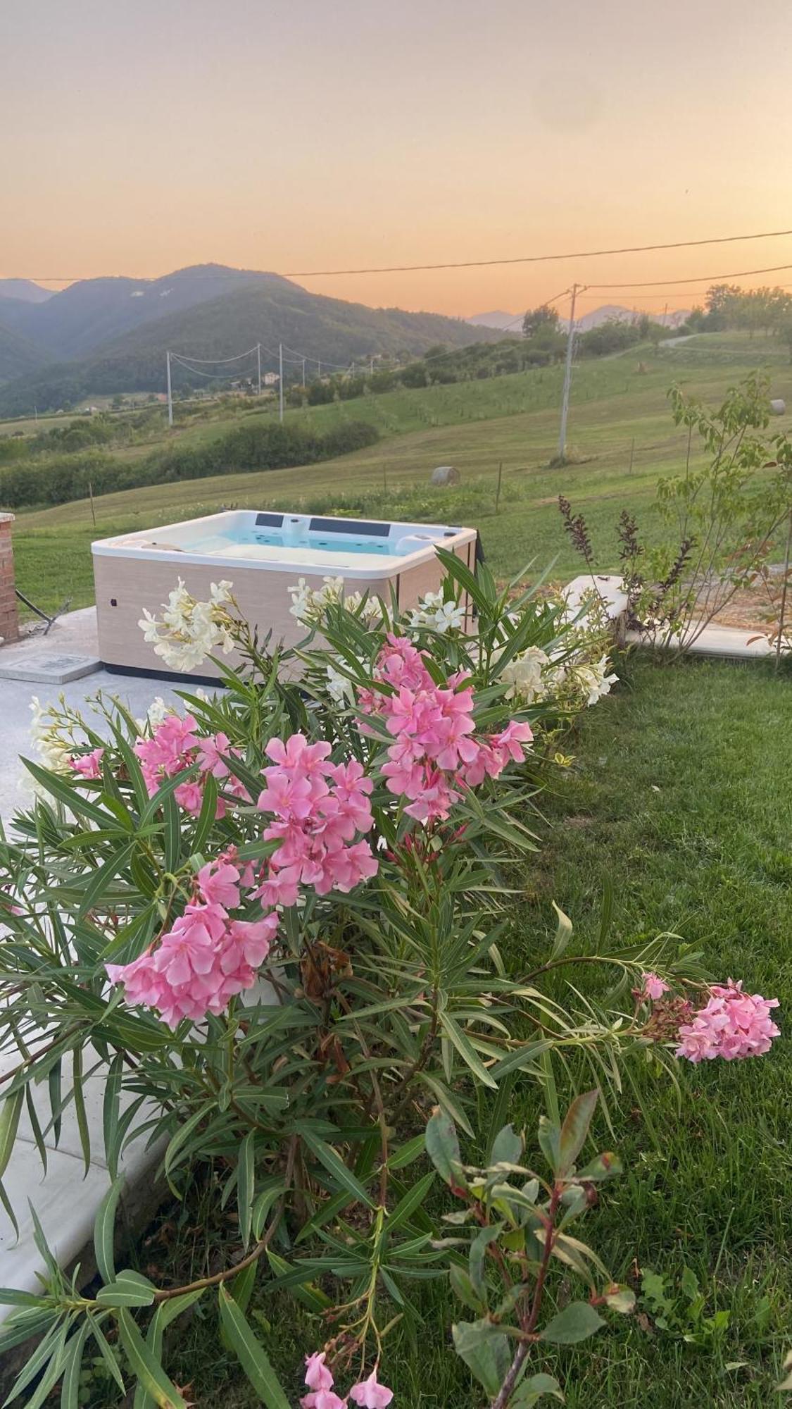 Agriturismo Cergallina Vernasca Kültér fotó